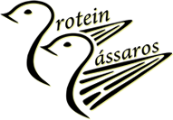 Protein Pássaros